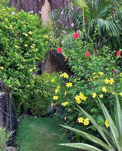 Les Elles Self Catering 4* Baie Lazare (Mahe)